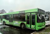 На Радуницу в Бресте запустят дополнительные автобусы