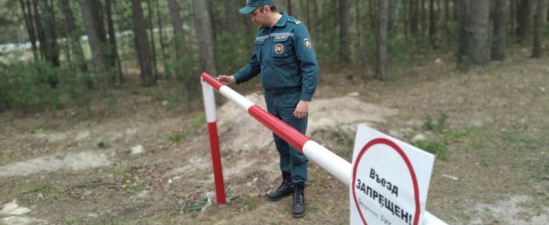 В 49 районах Беларуси ввели запреты и ограничения на посещение лесов