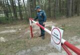 В 49 районах Беларуси ввели запреты и ограничения на посещение лесов