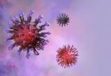 Новая волна коронавируса может начаться осенью