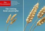The Economist рассказал о приближении глобальной продовольственной катастрофы