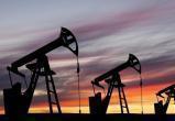Аналитики JP Morgan Chase прогнозируют рост цен на нефть до 380 долларов за барель в случае ответа России на санкции