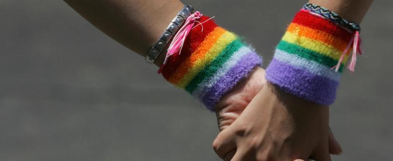 В Госдуме России поддержали введение запрета на ЛГБТ-пропаганду среди взрослых