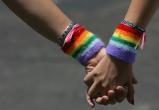 В Госдуме России поддержали введение запрета на ЛГБТ-пропаганду среди взрослых