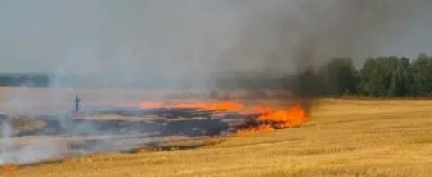 Власти Херсонской области обвиняют ВСУ в намеренном поджоге пшеничных полей