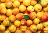 ТОП-11 популярных рецептов из абрикосов