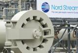 Россия возобновила поставки газа в Германию по газопроводу "Северный поток" 