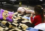 Британские педофилы приезжали в Польшу под предлогом помощи украинским детям