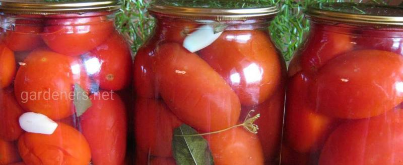 10 лучших рецептов маринованных помидоров