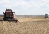 Лукашенко объяснил, почему Беларусь не будет продавать зерно на экспорт