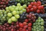 Самые популярные ошибки при выращивании винограда