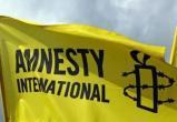 Независимые эксперты проверят доклад Amnesty International о ВСУ