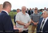 Лукашенко заявил о необходимости диктатуры для получения высоких урожаев