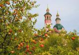 Православные верующие празднуют Преображение Господне или Яблочный спас