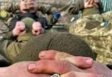 Подразделение ВСУ сдалось в плен Народной милиции ДНР в районе поселка Зайцево