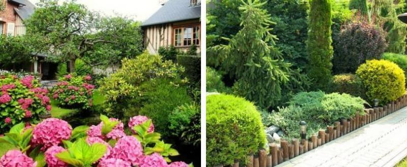 Идеи, как превратить дачный участок в роскошный сад
