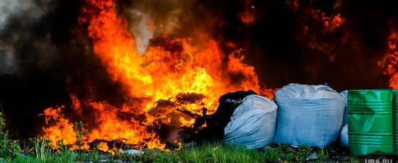 Суеверный житель Калининградской области сжег 33 мусорки с целью наверняка уничтожить волосы после стрижки 