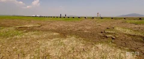 Китай попытается спасти урожай от засухи путем искусственного вызова дождей