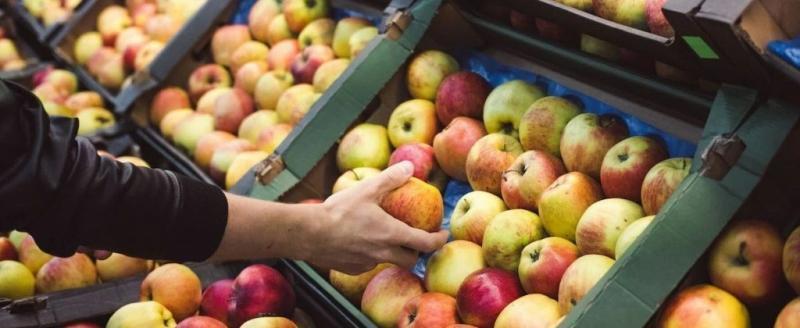 МАРТ объяснил, почему белорусские яблоки дороже польских