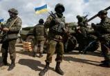 Главком ВСУ Залужный доложил о реальных потерях украинской армии