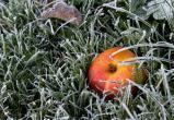 Белгидромет: С началом сентября с Беларуси ожидаются первые заморозки