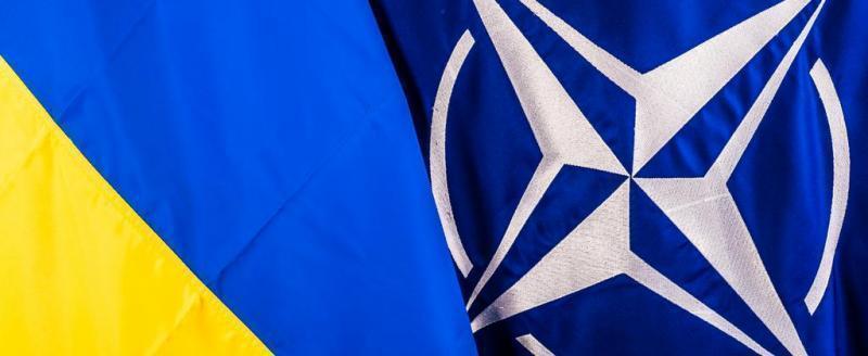 Украина потребовала приема в НАТО до окончания военного конфликта