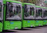 В Брест поставят четыре новых автобуса до конца года