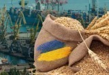 В США считают нормальным, что зерно из Украины идет в богатые страны