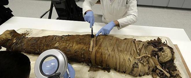 Анализ ДНК почти 100 египетских мумий шокировал учёных всего мира