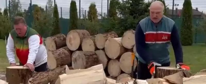 Лукашенко пообещал помочь Европе дровами на зиму