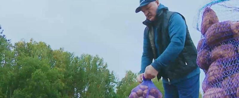 В Беларуси объявили конкурс на лучшее фото блюда из картошки Лукашенко