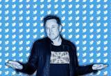 Илон Маск раскрыл секреты Twitter: сокрытие информации и давление политиков