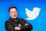 Илон Маск может уйти с поста главы Twitter после голосования пользователей