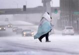 Более 40 человек погибли из-за снежного шторма в США