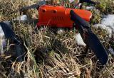 В Столинском районе пограничники сбили украинский разведывательный беспилотник