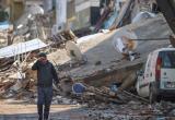 Число жертв землетрясений в Турции выросло до 43,5 тысяч человек