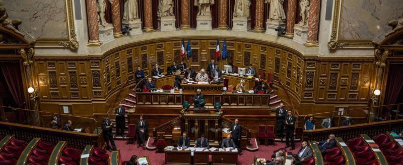 Сенат Франции одобрил пенсионную реформу, несмотря на массовые акции протеста в стране