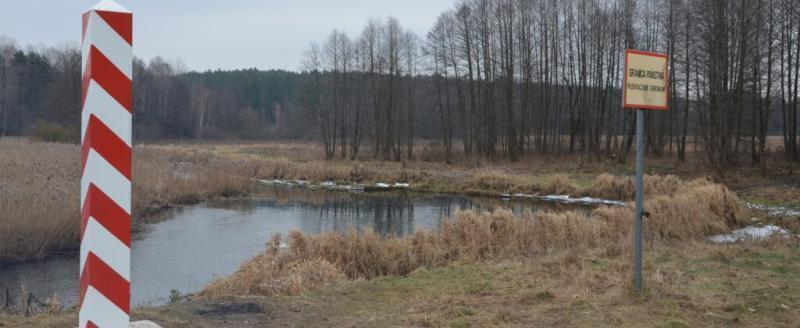ГПК: польские волонтеры обнаружили труп иностранца в болоте у границы с Беларусью
