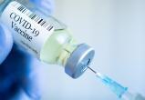 Первый образец белорусской вакцины от коронавируса получат в апреле