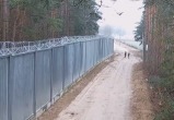 Польских пограничников забросали камнями и ветками на границе с Беларусью