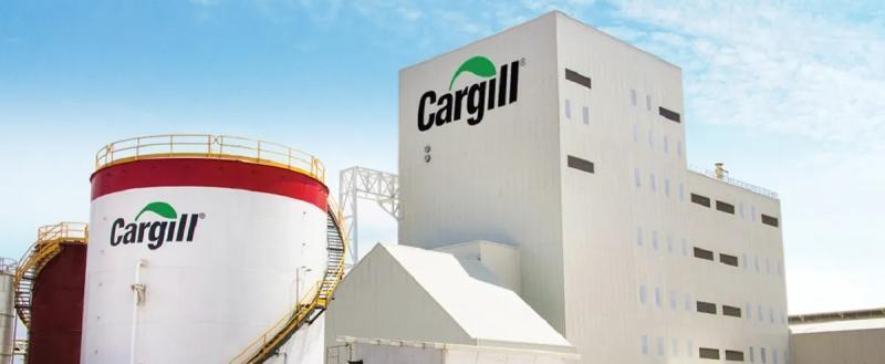 Один из крупнейших в мире поставщиков зерна Cargill прекратит экспорт из России