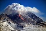 Вулкан Шивелуч на Камчатке выбросил столб пепла высотой в 8 км