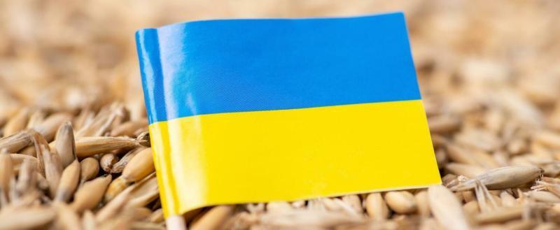 Правительство Польши ввело запрет на импорт зерна и продовольствия из Украины