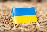 Правительство Польши ввело запрет на импорт зерна и продовольствия из Украины
