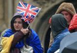 Британцы требуют жестко проверять украинских беженцев из-за мошенничества и воровства