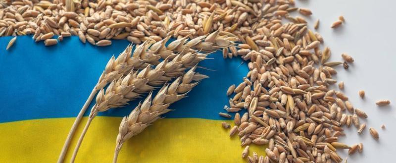 Еврокомиссия может запретить импорт зерна из Украины