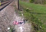 Скоростной поезд сбил пожилую пару в Столбцовском районе