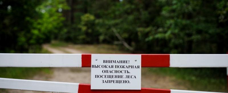 В 55 районах Беларуси ввели ограничения на посещение лесов