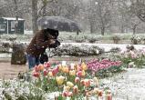 Из-за серьезных заморозков в Беларуси объявили штормовое предупреждение на 6 и 7 мая