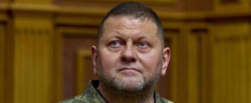 Замминистра Украины опровергла слух о смерти генерала Залужного
